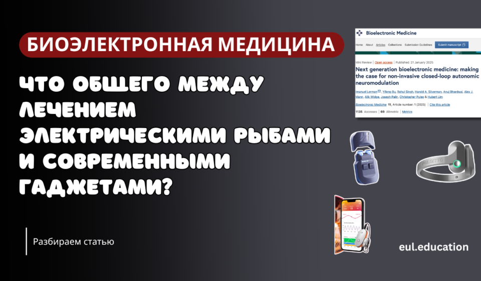 Электрические рыбы и любимые гаджеты