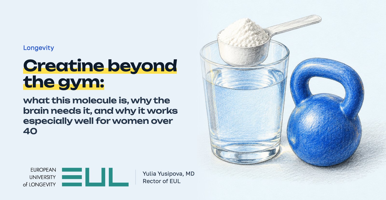 Creatine beyond the gym: what this molecule is, why the brain needs it, and why it works especially well for women over 40