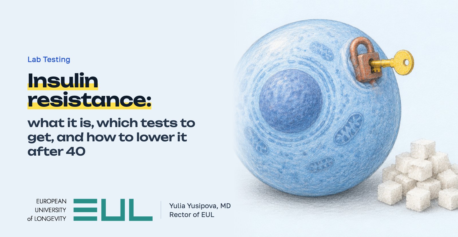 Insulin resistance: what it is, which tests to get, and how to lower it after 40