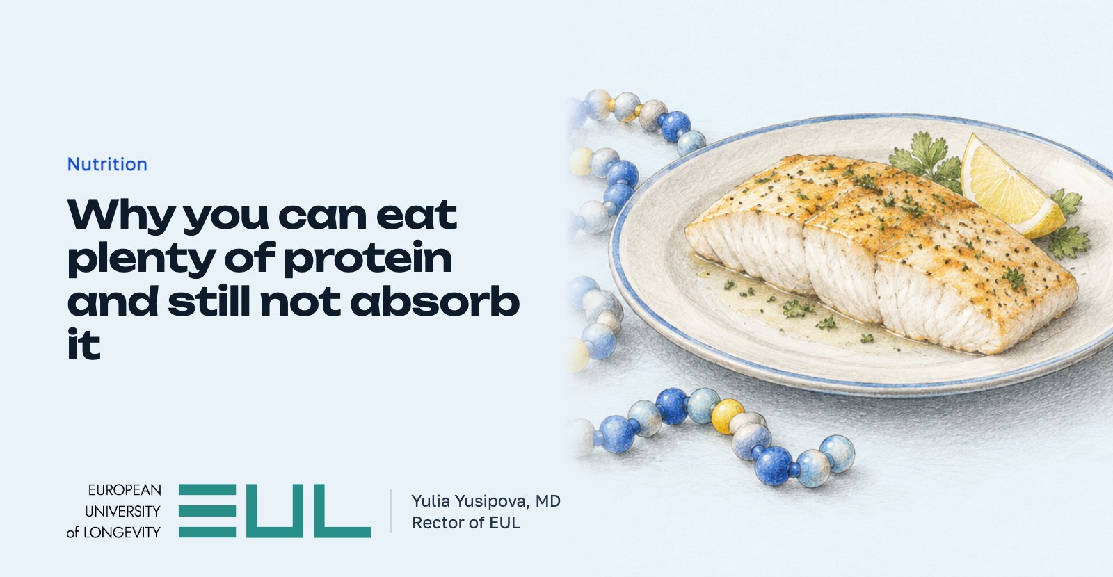 Why you can eat plenty of protein and still not absorb it
