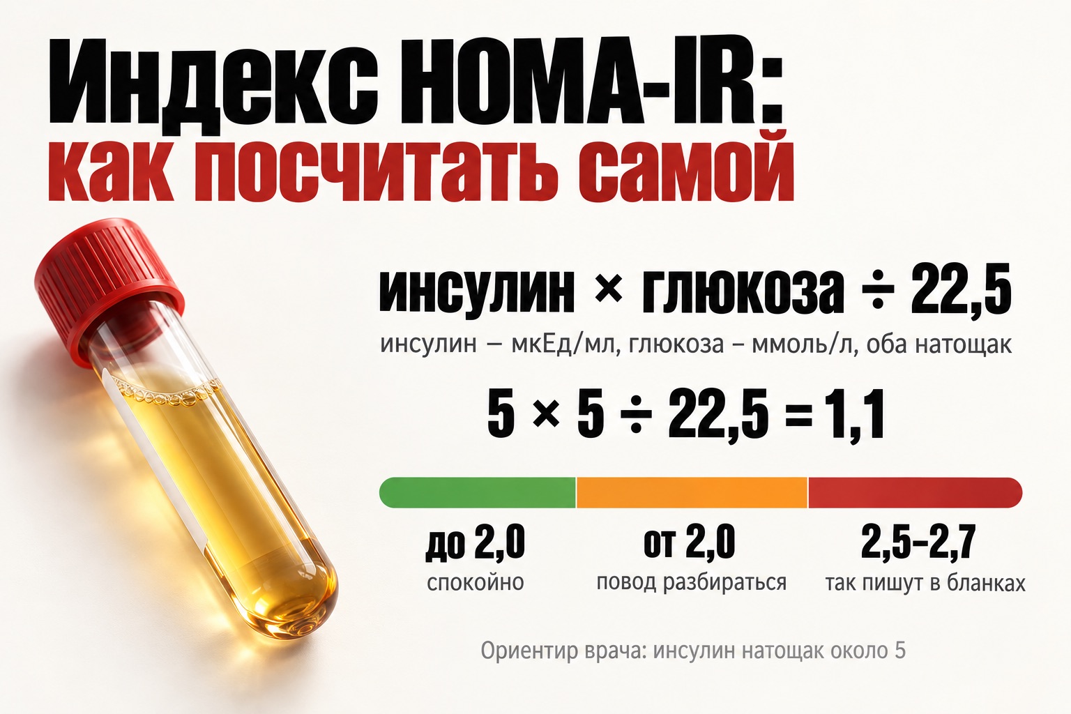 Индекс HOMA-IR: как посчитать самой, формула и ориентиры